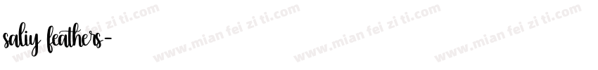 saliy feathers字体转换